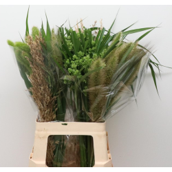 Ornamental Grass Mix