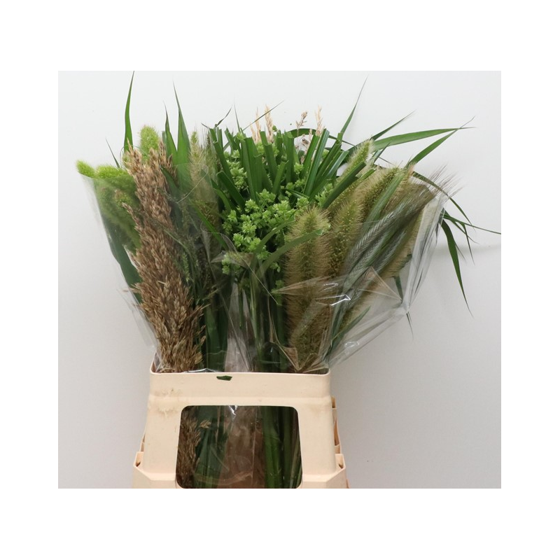 Ornamental Grass Mix