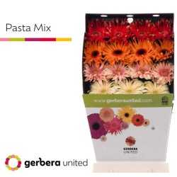 Gerb.Pasta DP mix