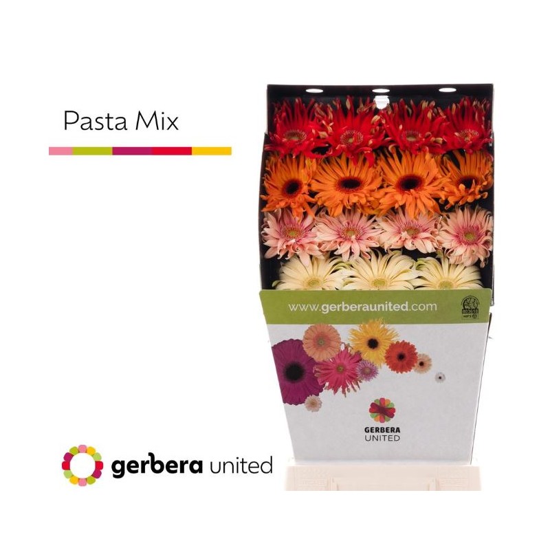 Gerb.Pasta DP mix