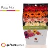 Gerb.Pasta DP mix