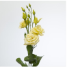 Eustoma Alissa Yellow kollane 70-75cm