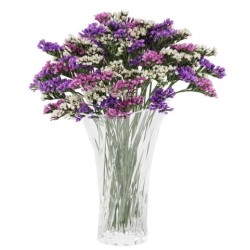 Limonium Statice mix (parkjuur)