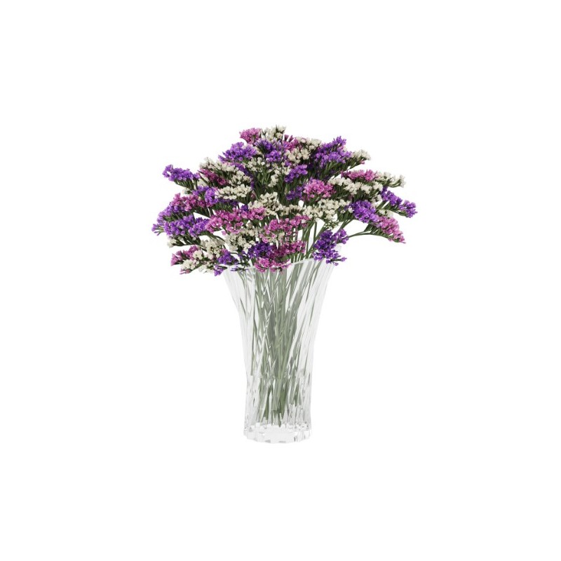 Limonium Statice mix (parkjuur)