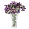 Limonium Statice mix (parkjuur)