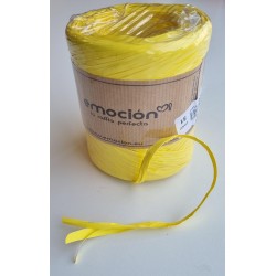 Raffia Emocion 200m helekollane (51)