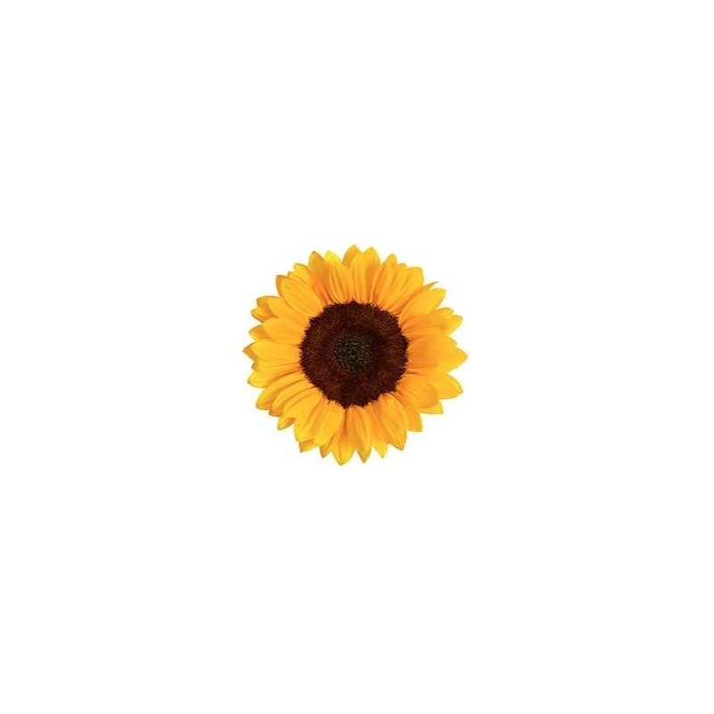 Helianthus Sunrich Orange 60cm kollane
