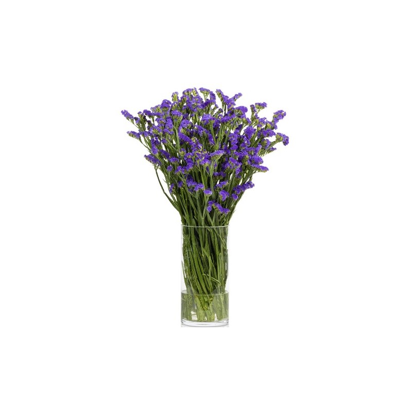 Limonium Statice Chrystal Dark Blue (parkjuur) sinine