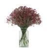 Limonium Scarlet Diamond punane