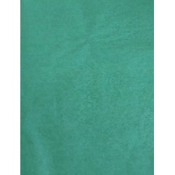 Fooliumlehed 70cm*50cm läbipaistev