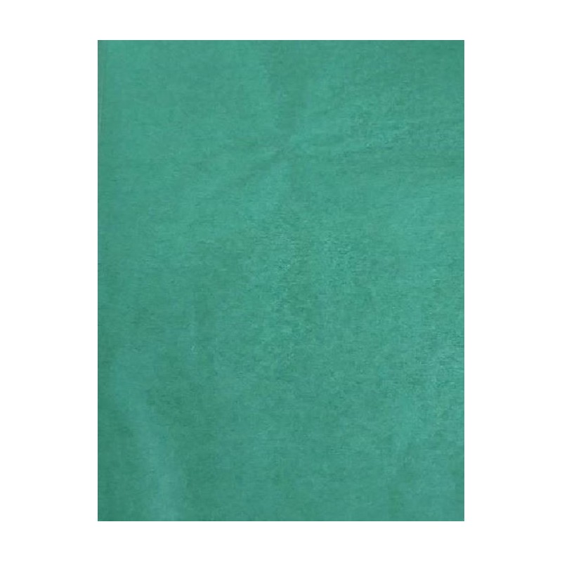 Fooliumlehed 70cm*50cm läbipaistev