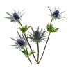 Eryngium Magnetar Questar (ohakas) 50cm lilla