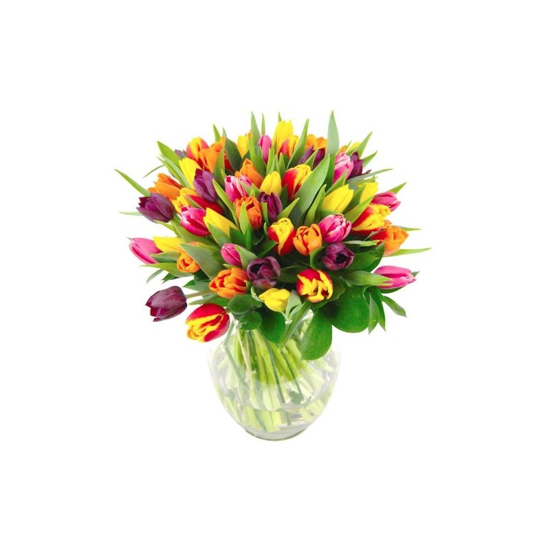 Tulp mix Eesti