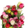 Ranunculus Cloni mix Itaalia