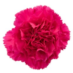 Nelk Hot Pink Ravel tumeroosa