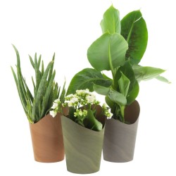 Potiümbris Sira 12cm mix