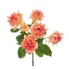 Kobarroos Flame 50+cm oranž