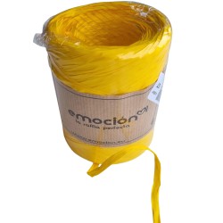 Raffia Emocion 200m tumekollane (07)