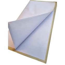 Fooliumlehed 60cm*60cm helelilla kuldse äärega (13)