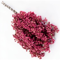 Schinus Molle (Pepper pink berries) 300gr