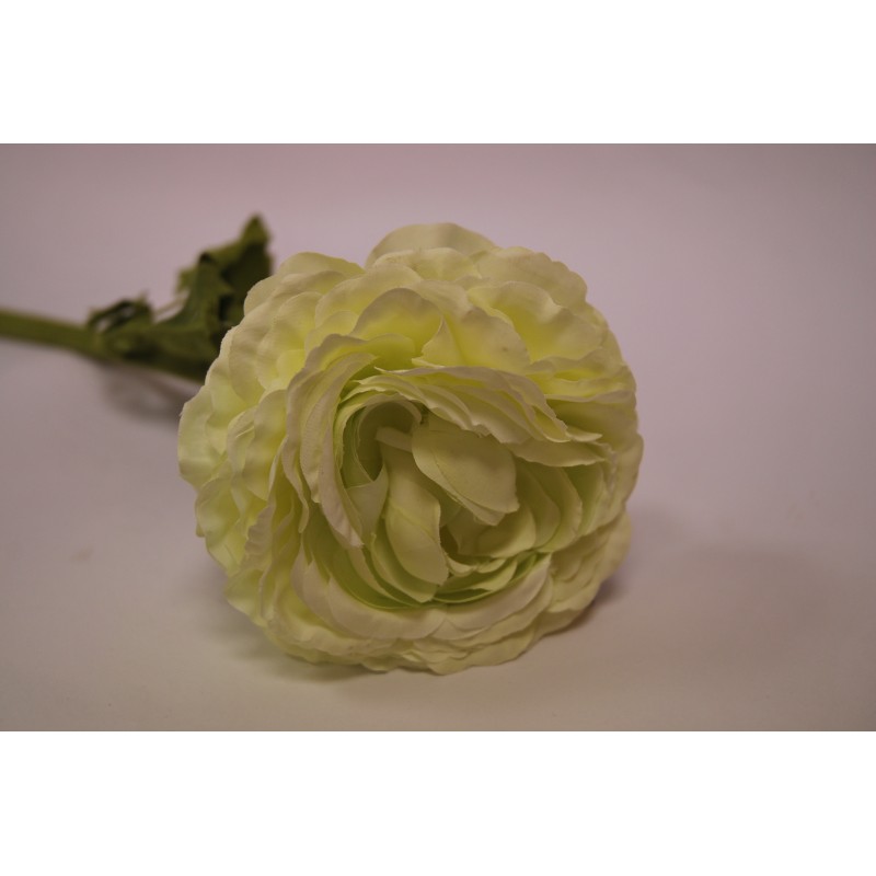 Kunstlill Ranunculus 52cm kreem