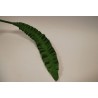 Kunstlill Asplenium oks 93cm