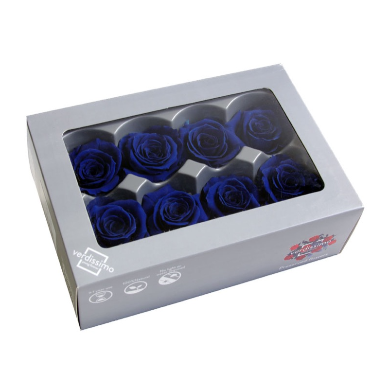 DC Pres.Roses Medium  TUMESININE