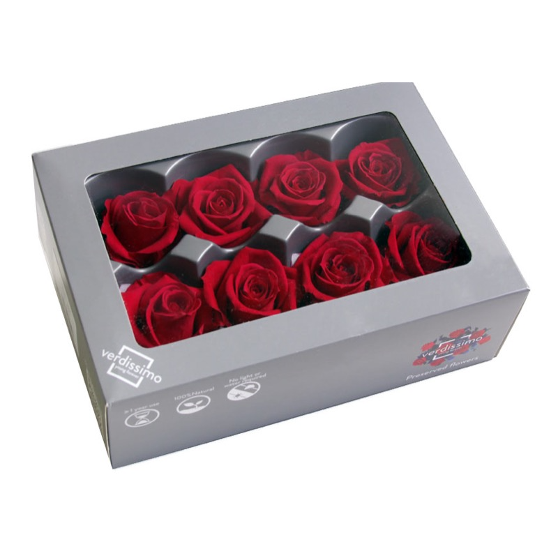 DC Pres.Roses Medium BURGUNDIA