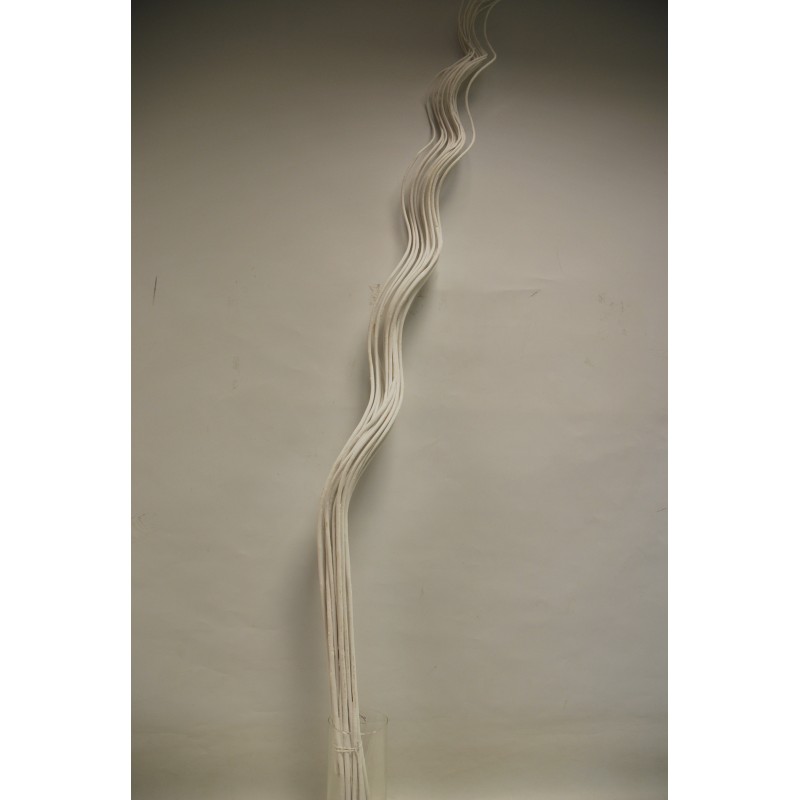 Curly willow 150cm valge