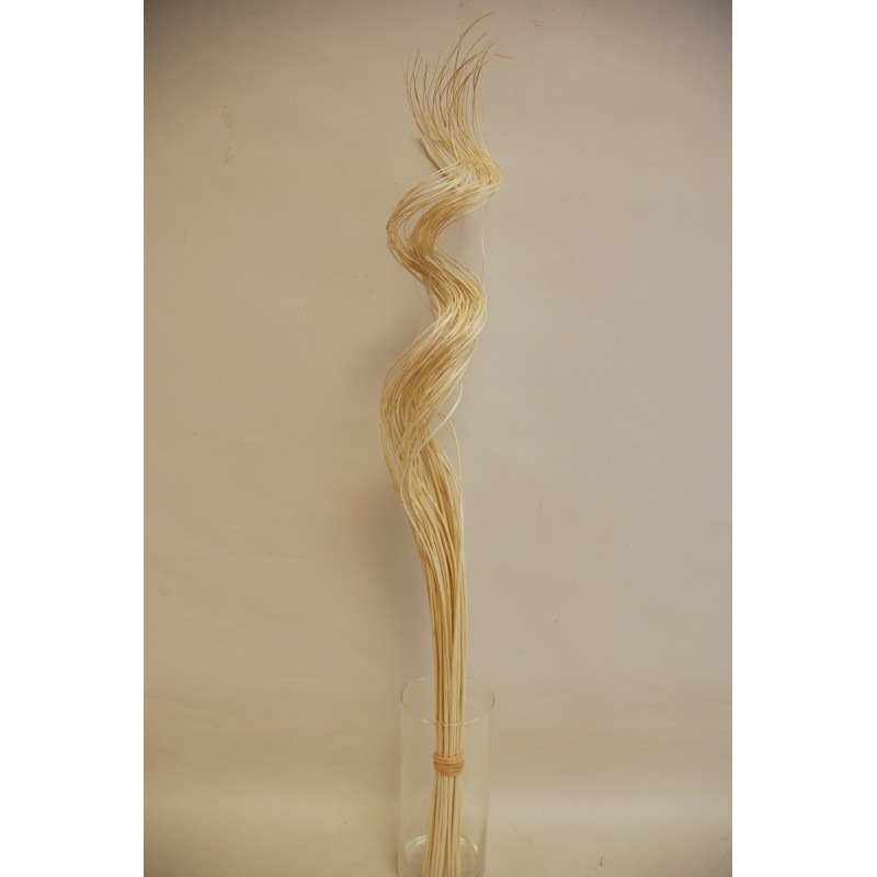 Curly willow 75cm valge