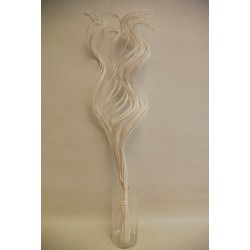 Curly willow 75cm naturaalne