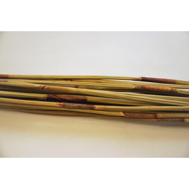 Reed oksad naturaalne 90cm