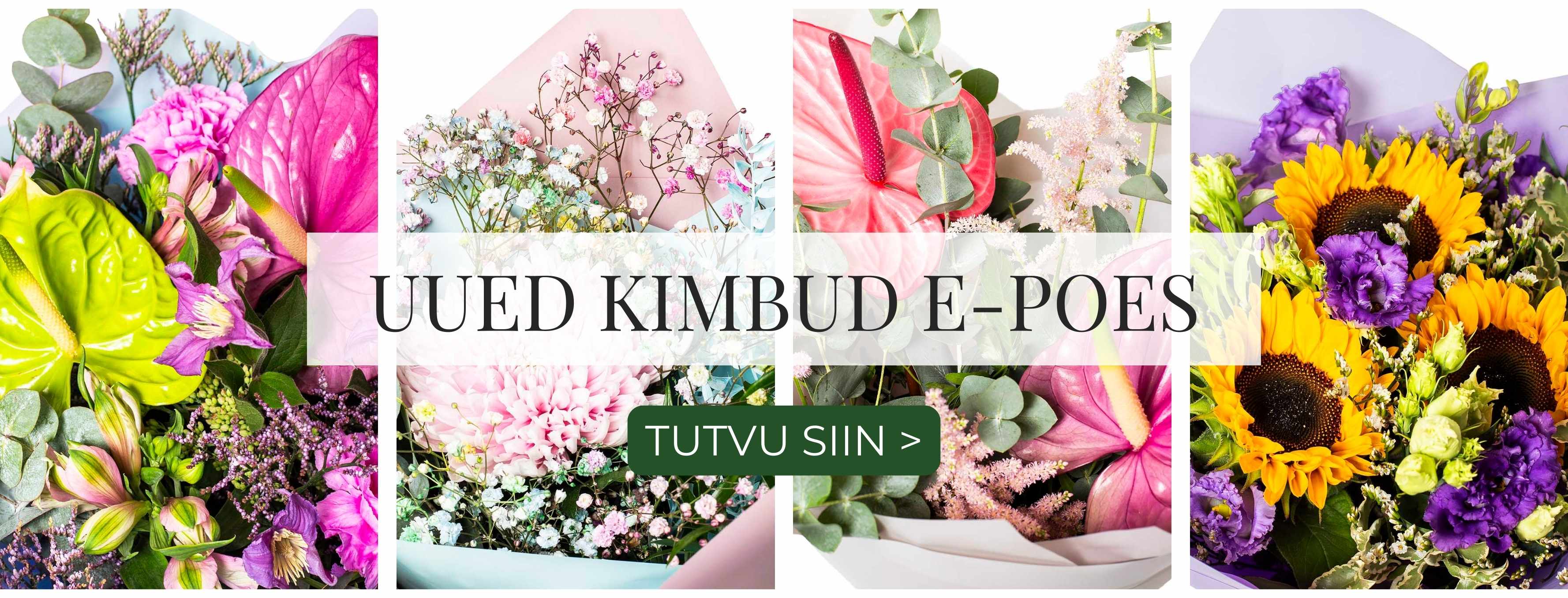 Uued kimbud 09.24